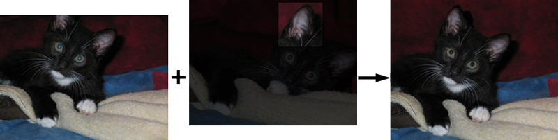 Image editing evolution: restoring a kitten's ear